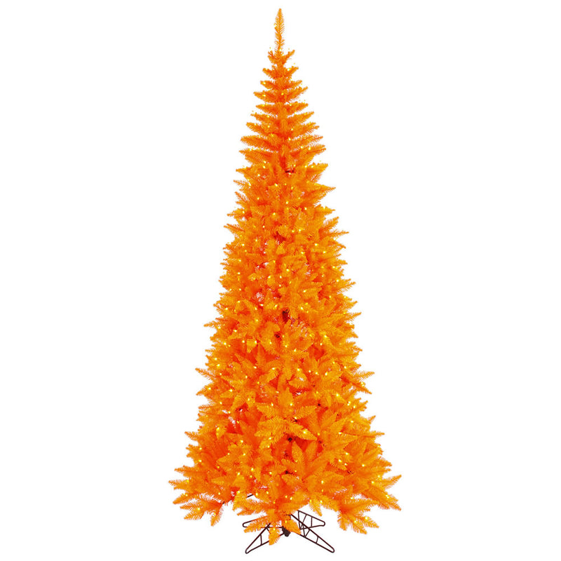 Orange Fir