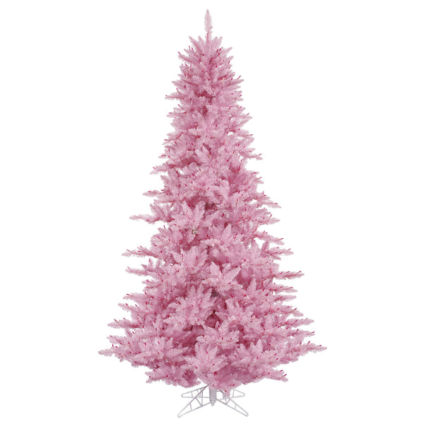 Pink Fir