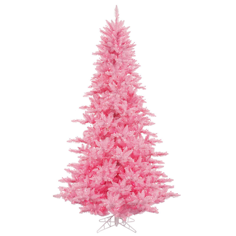 Pink Fir