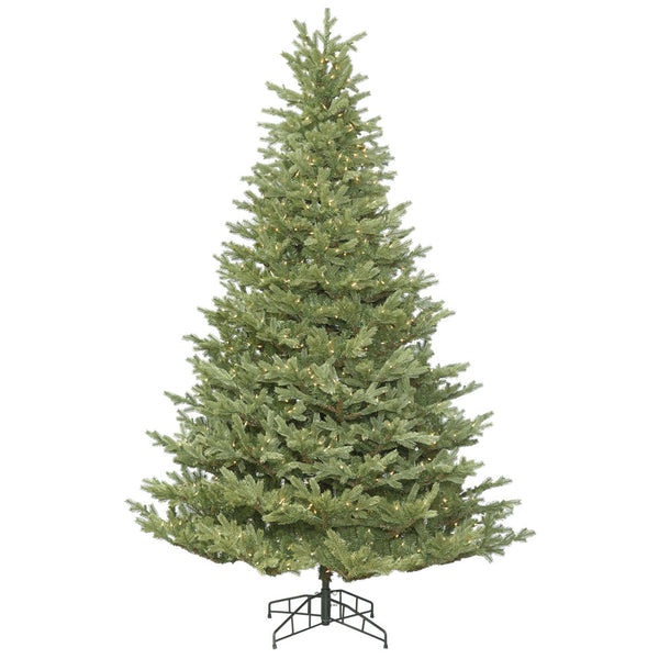 Princeston Fraiser Fir