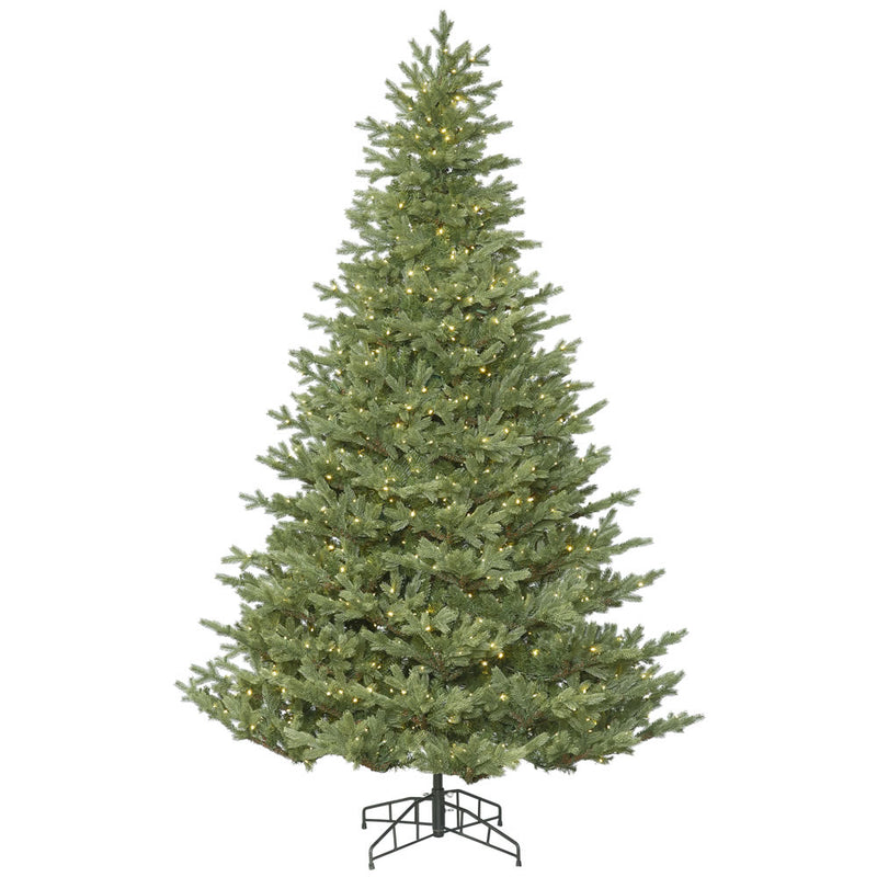 Princeston Fraiser Fir