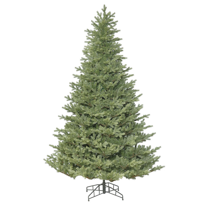 Princeston Fraiser Fir