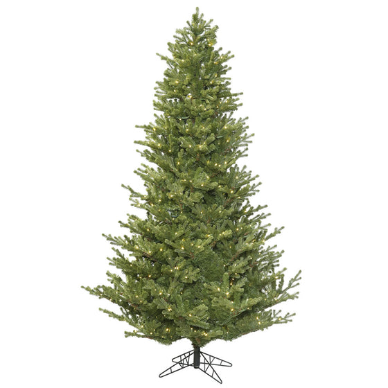 Lexington Spruce