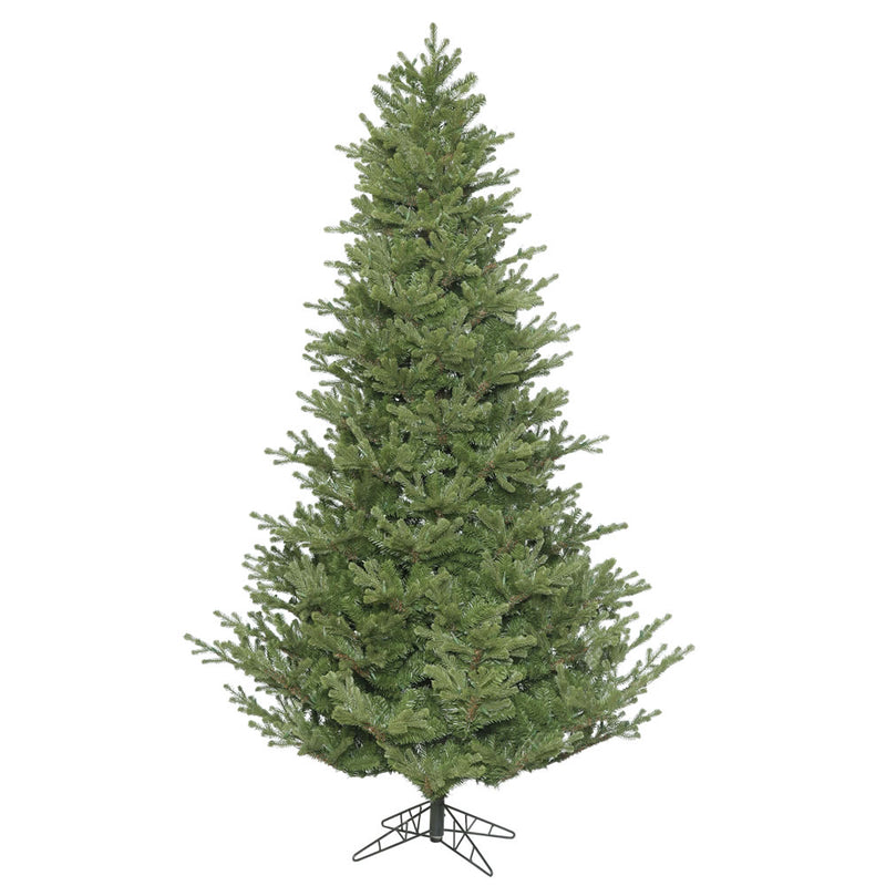 Lexington Spruce