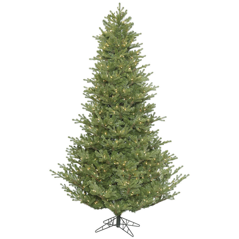 Lexington Spruce