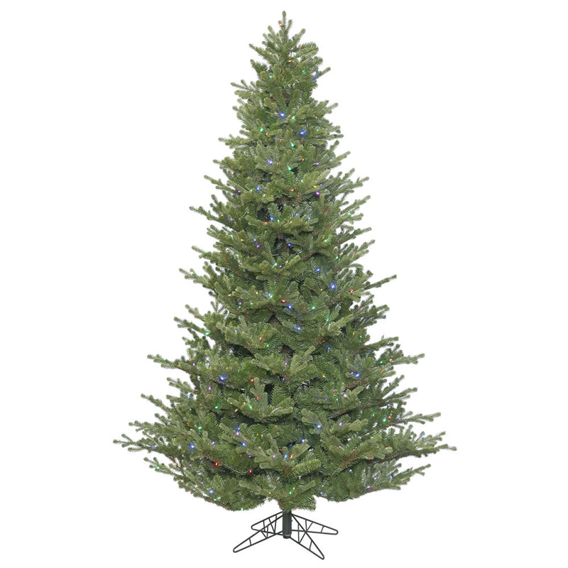 Lexington Spruce