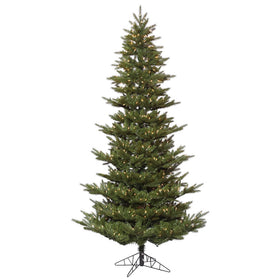Carlsbad Fir