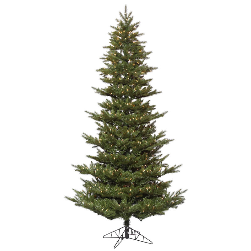 Carlsbad Fir