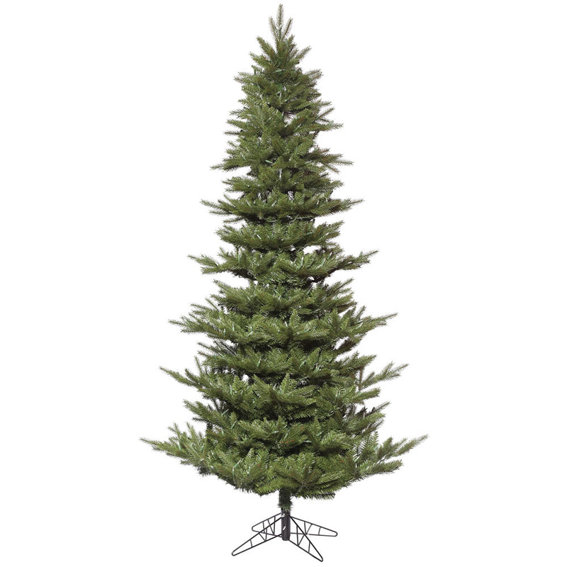 Carlsbad Fir