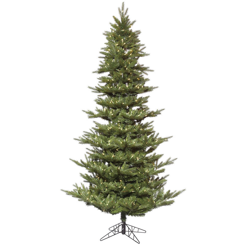 Carlsbad Fir