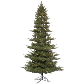 Carlsbad Fir