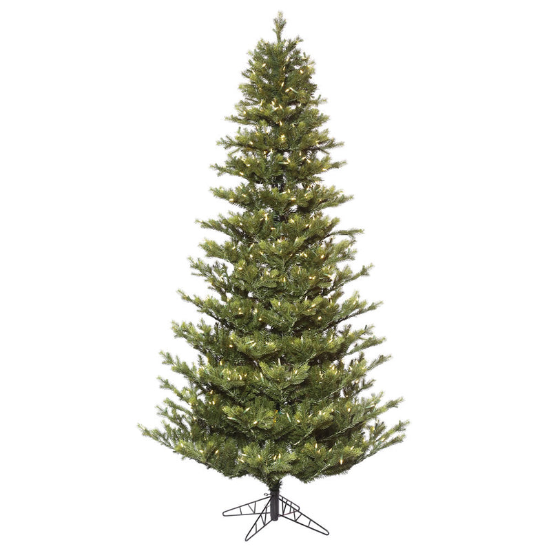 Oak Frasier Fir