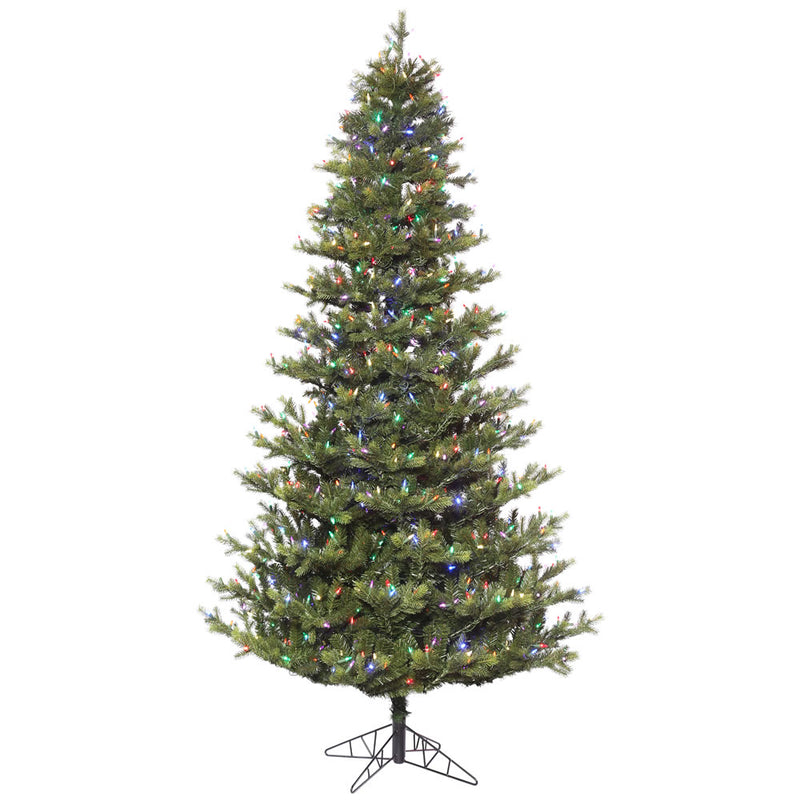 Oak Frasier Fir