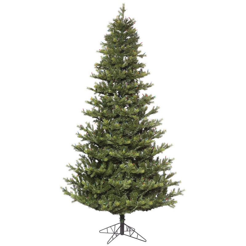 Oak Frasier Fir