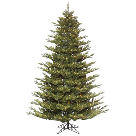 Oak Frasier Fir