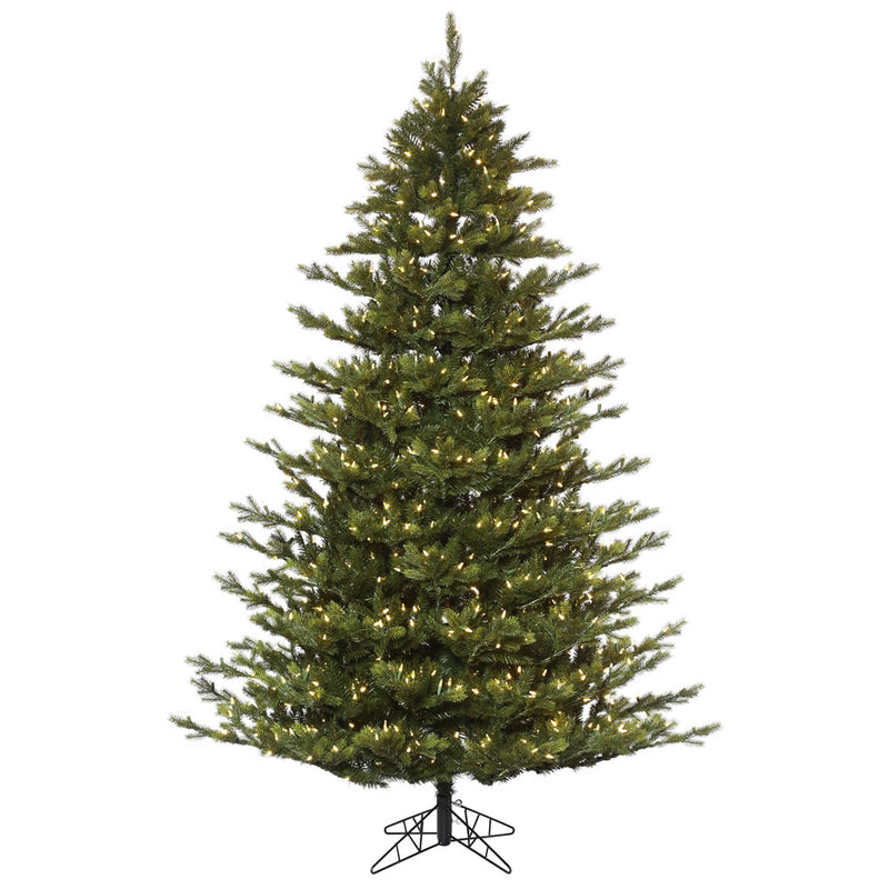 Oak Frasier Fir