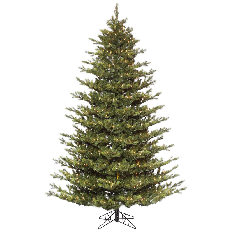 Oak Frasier Fir