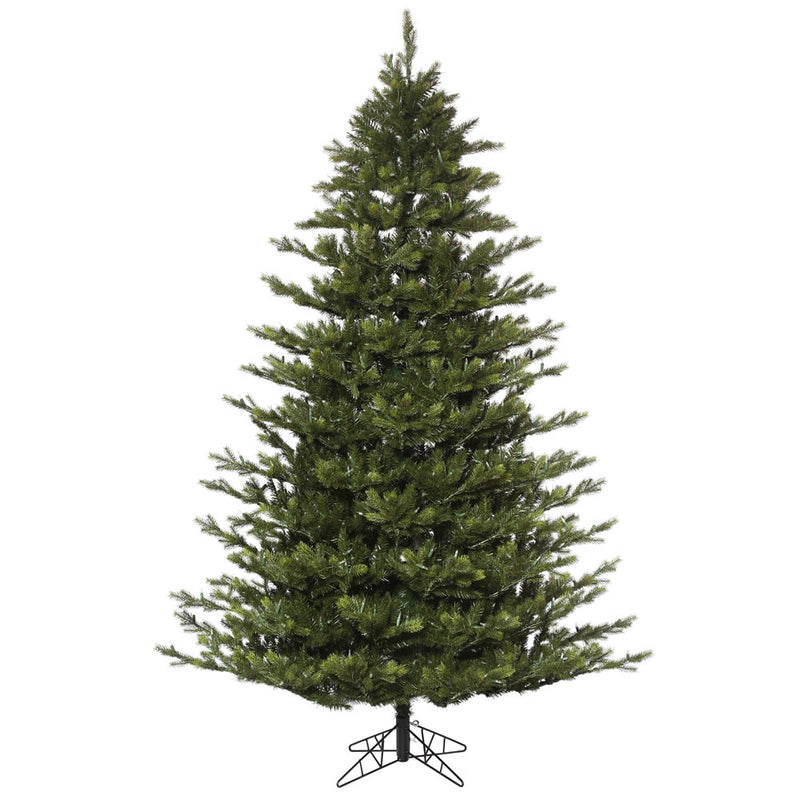 Oak Frasier Fir