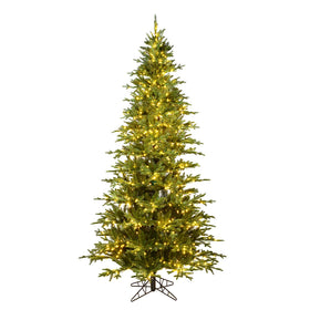Kamas Fraiser Fir