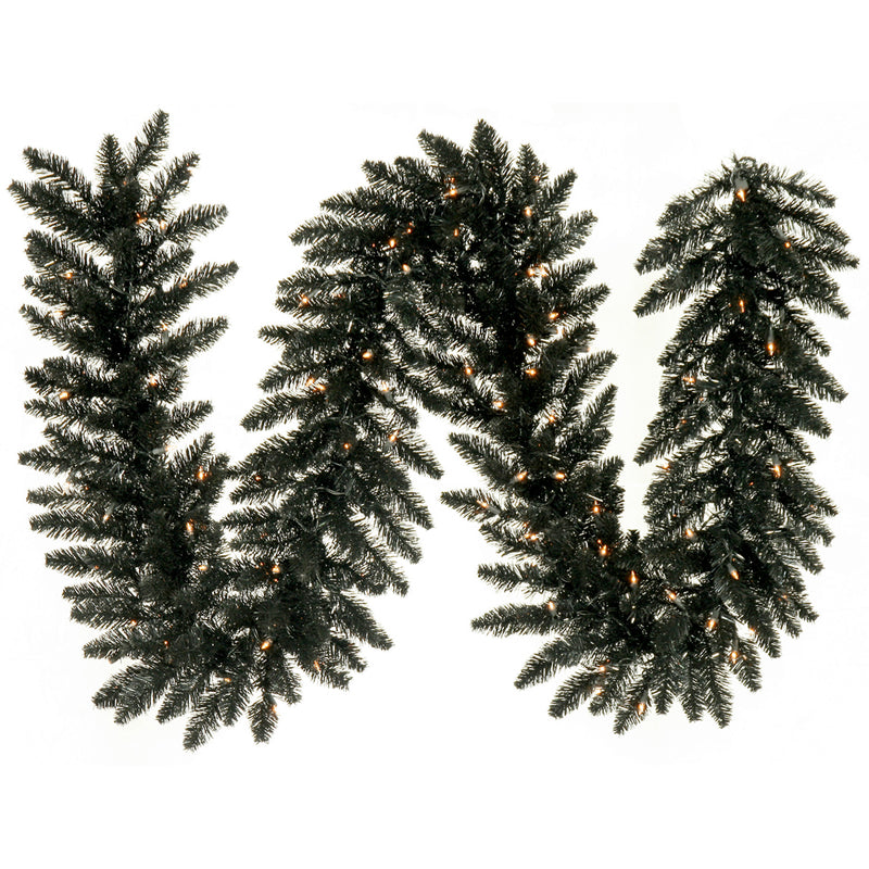 Black Fir