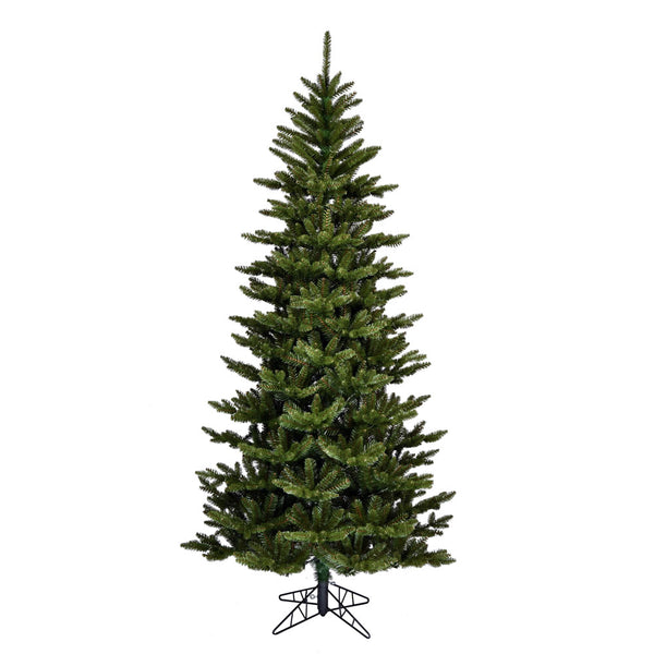 Natural Fraser Fir