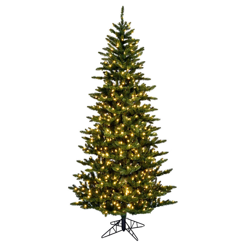 Natural Fraser Fir