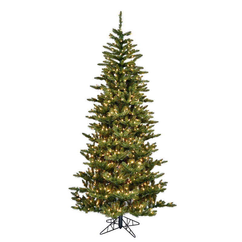 Natural Fraser Fir