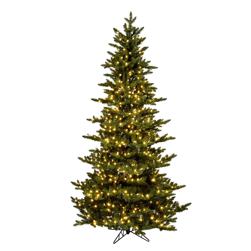 Natural Fraser Fir