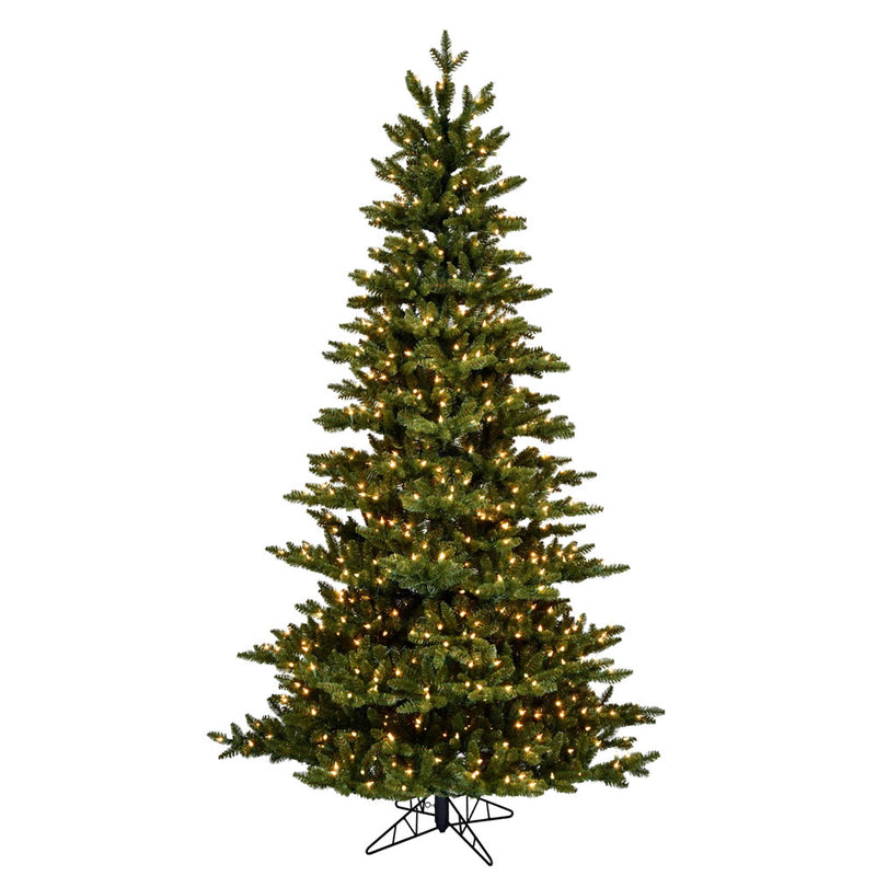 Natural Fraser Fir