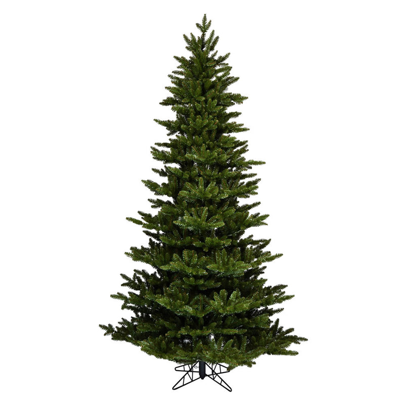 Natural Fraser Fir