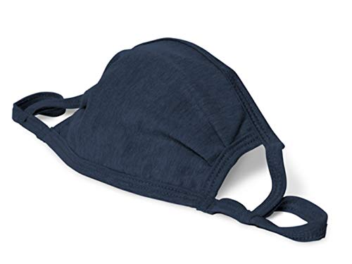 Adult 2-Ply Adjustable Mask