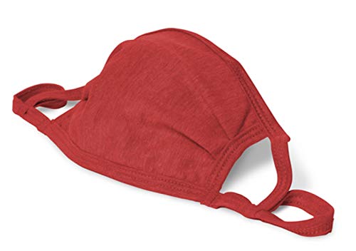 Adult 2-Ply Adjustable Mask
