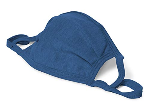 Adult 2-Ply Adjustable Mask